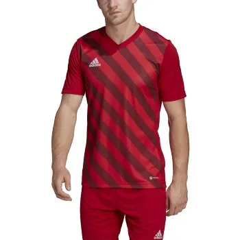 adidas Men's Entrada 22 Graphic Jersey