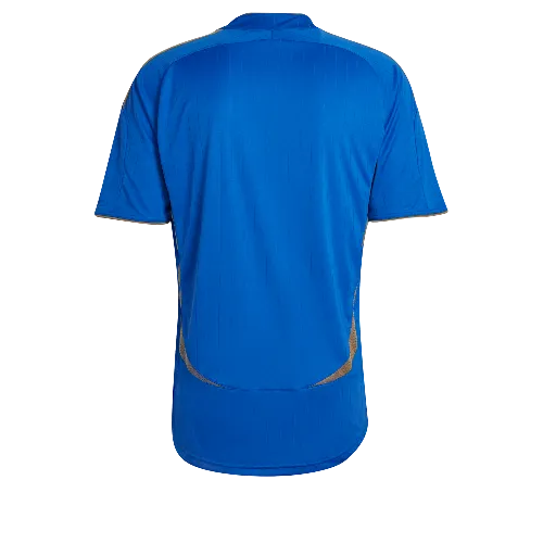 Adidas Men's Juventus Teamgeist Jersey