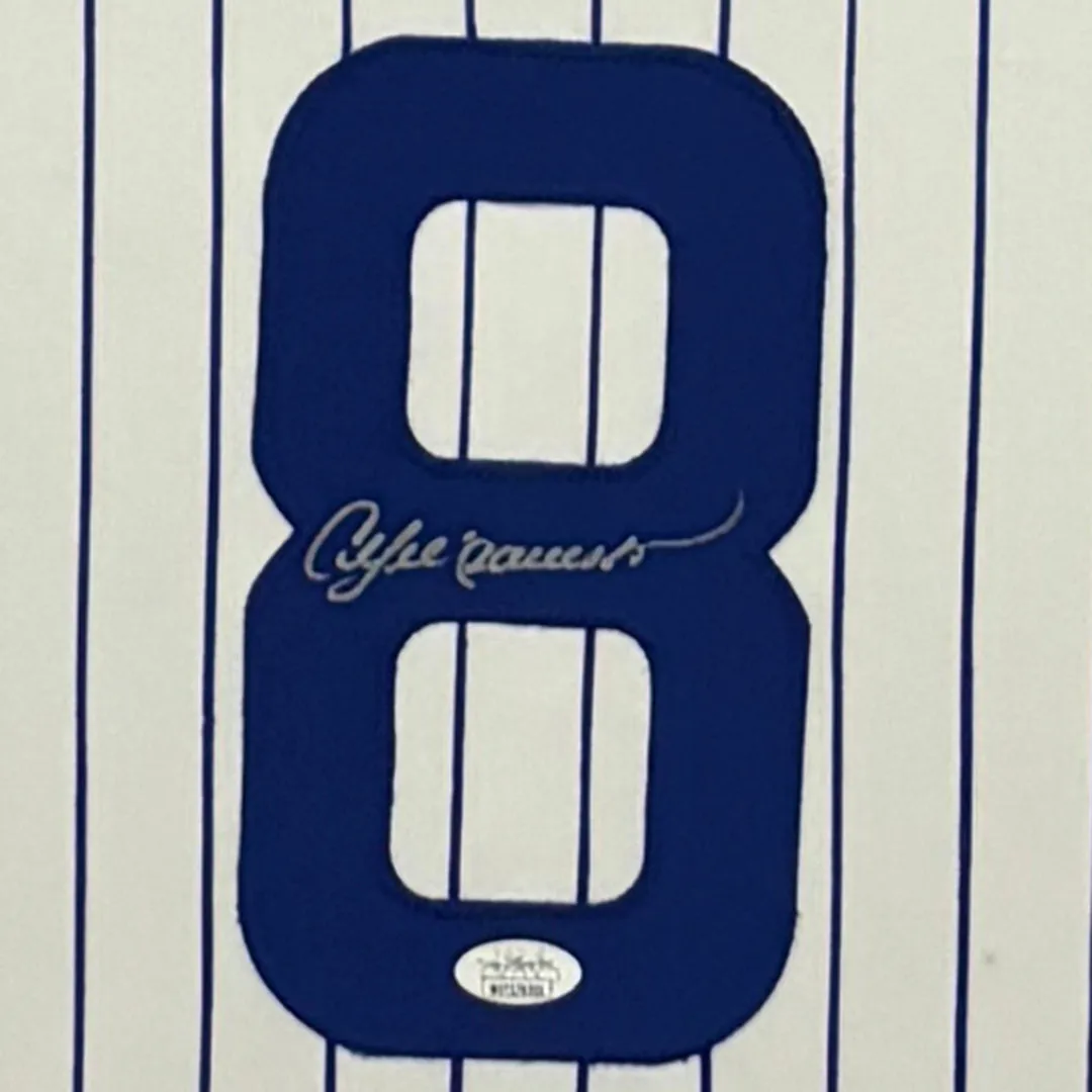 Andre Dawson Signed Chicago Pinstripe Custom Suede Matte Framed Baseball Jersey