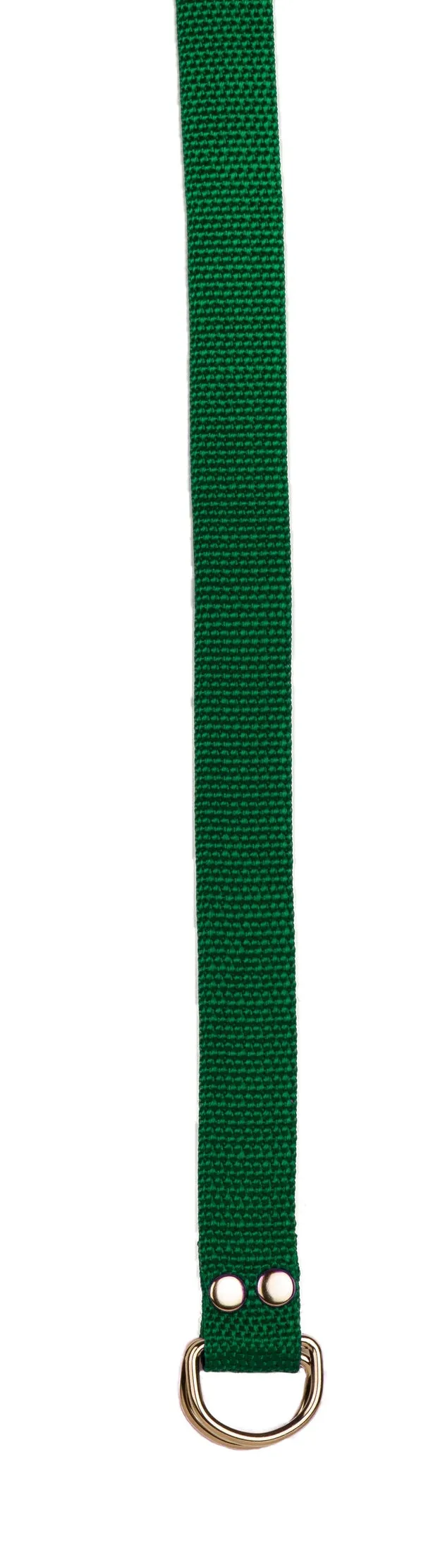 Champion Sports Football Belt