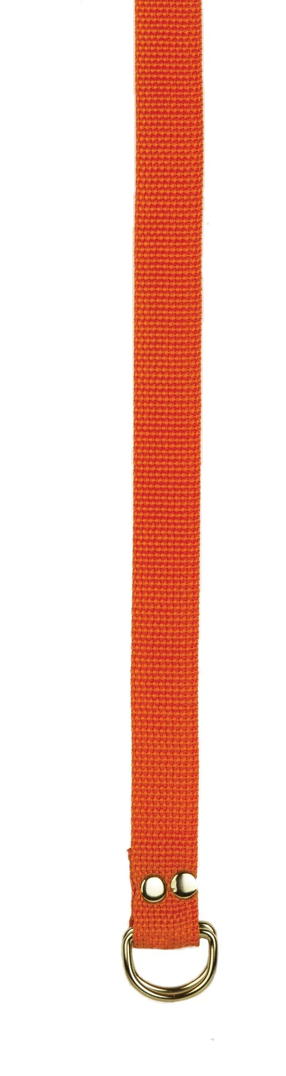 Champion Sports Football Belt