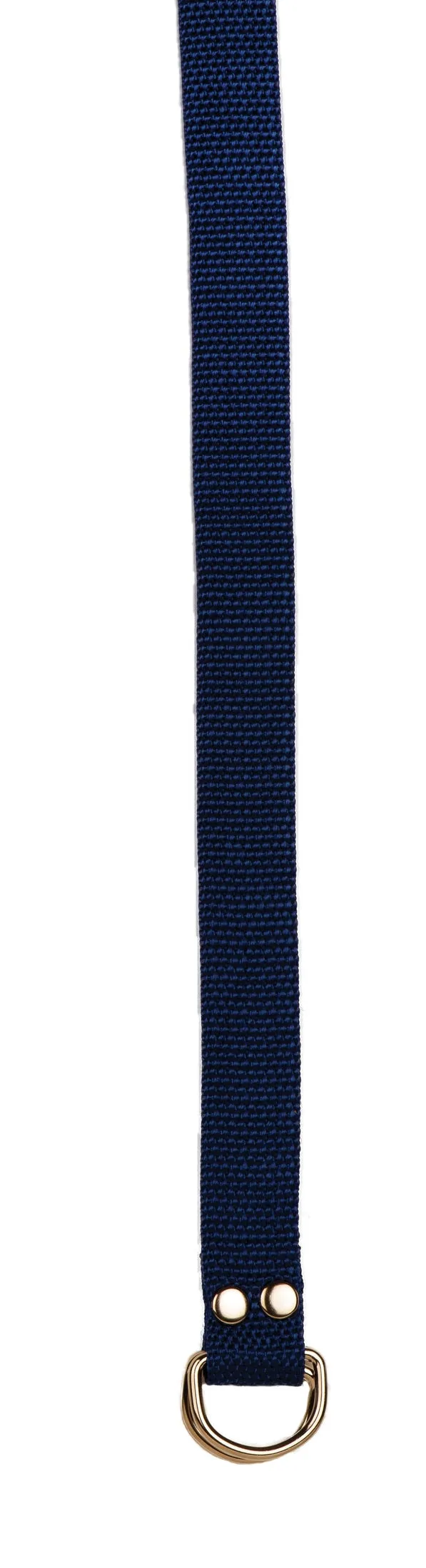 Champion Sports Football Belt
