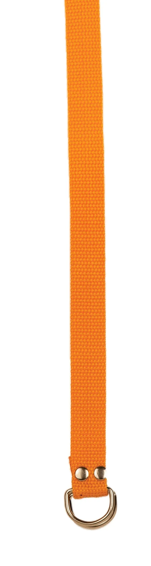 Champion Sports Football Belt