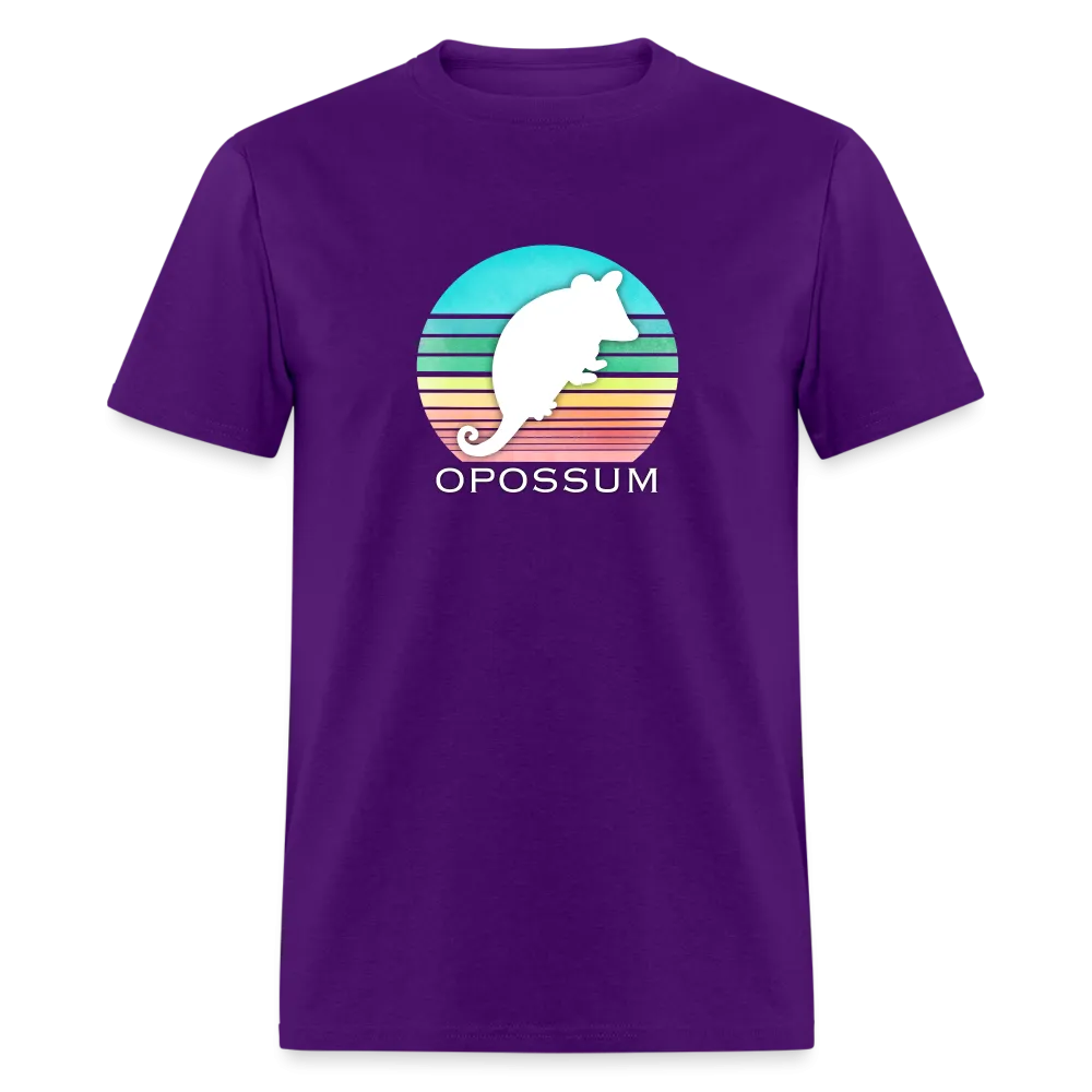 Retropossum Rainbow Sun