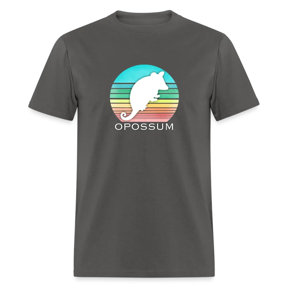 Retropossum Rainbow Sun