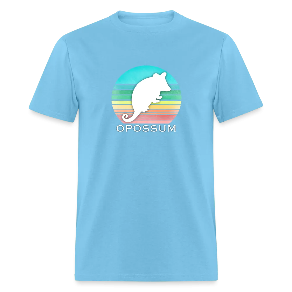 Retropossum Rainbow Sun
