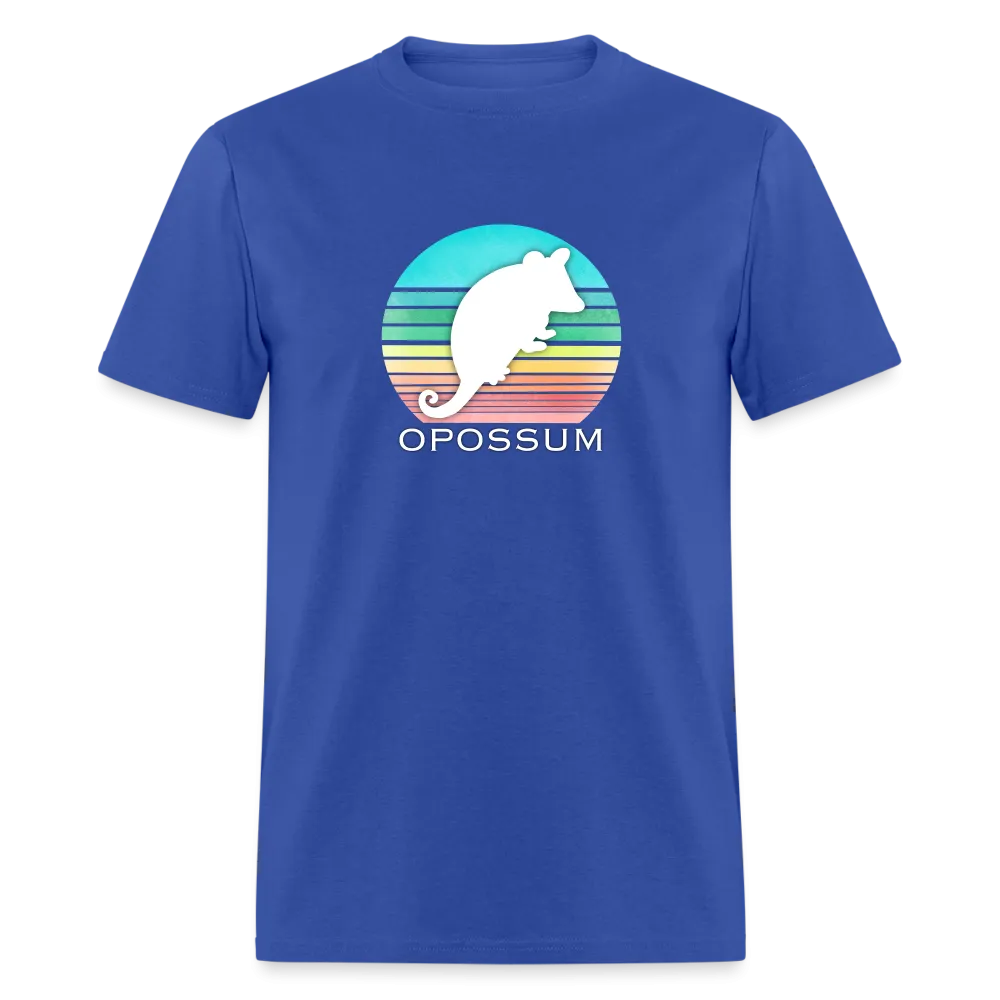 Retropossum Rainbow Sun