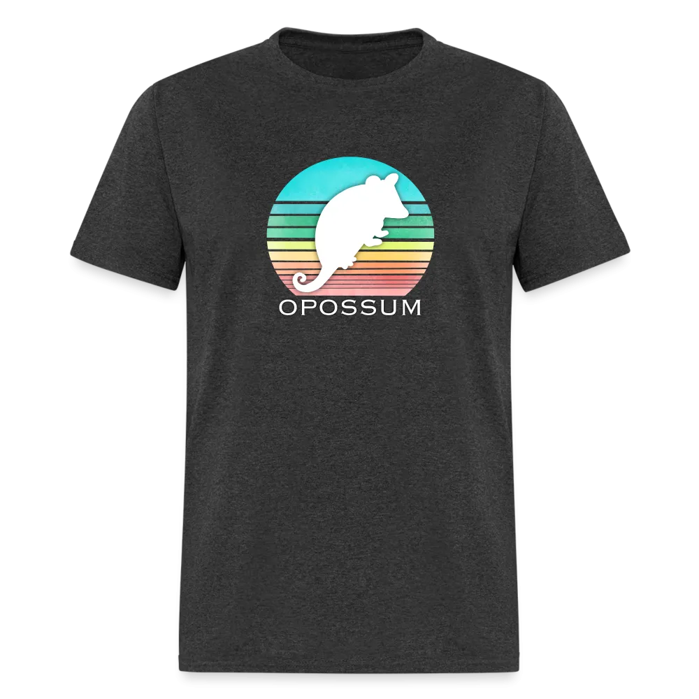 Retropossum Rainbow Sun