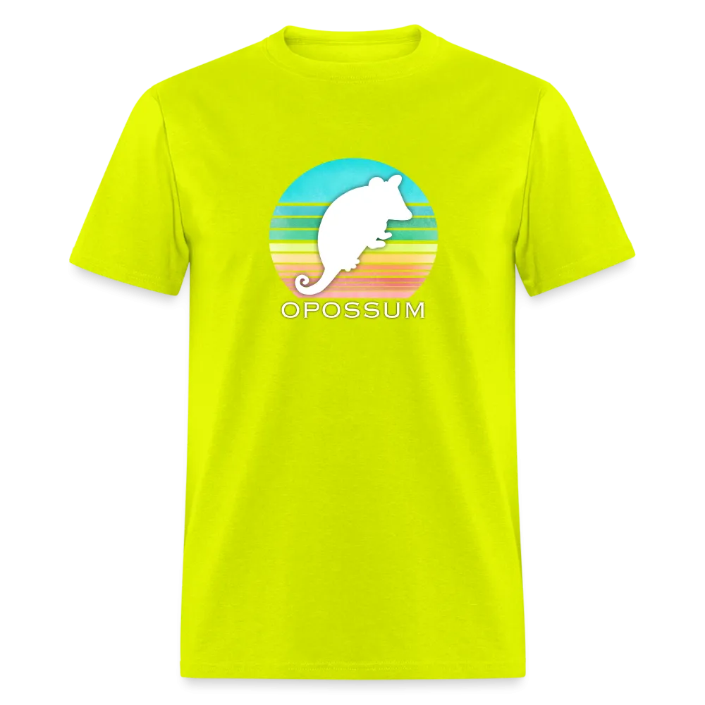 Retropossum Rainbow Sun